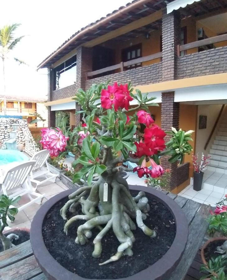 Pousada A Flor Da Terra Porto Seguro Exterior photo